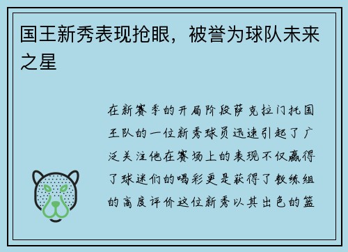 国王新秀表现抢眼，被誉为球队未来之星