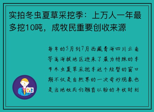实拍冬虫夏草采挖季：上万人一年最多挖10吨，成牧民重要创收来源