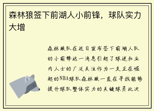 森林狼签下前湖人小前锋，球队实力大增